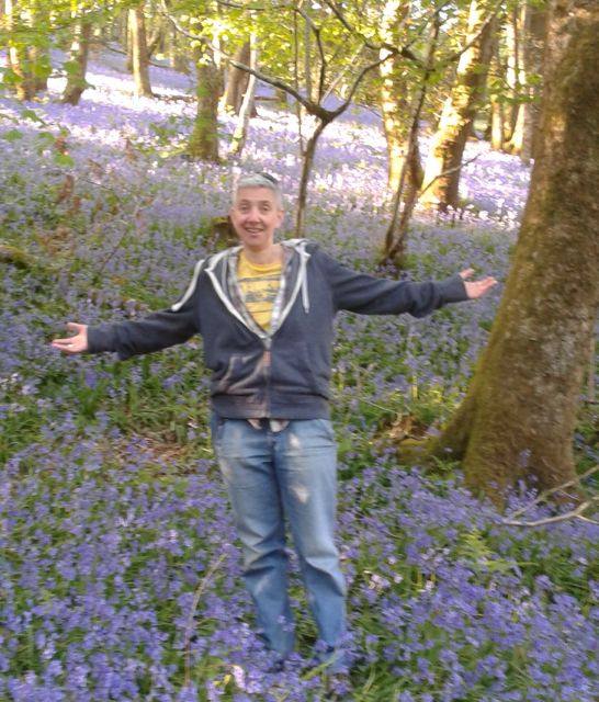 In bluebell woods near my home in Gwynedd